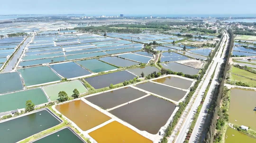 從毛刷到碧波：傲群過濾毛刷為現代漁業(yè)裝上