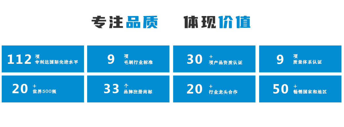 毛刷條廠(chǎng)家-加工定制生產(chǎn)公司傲群