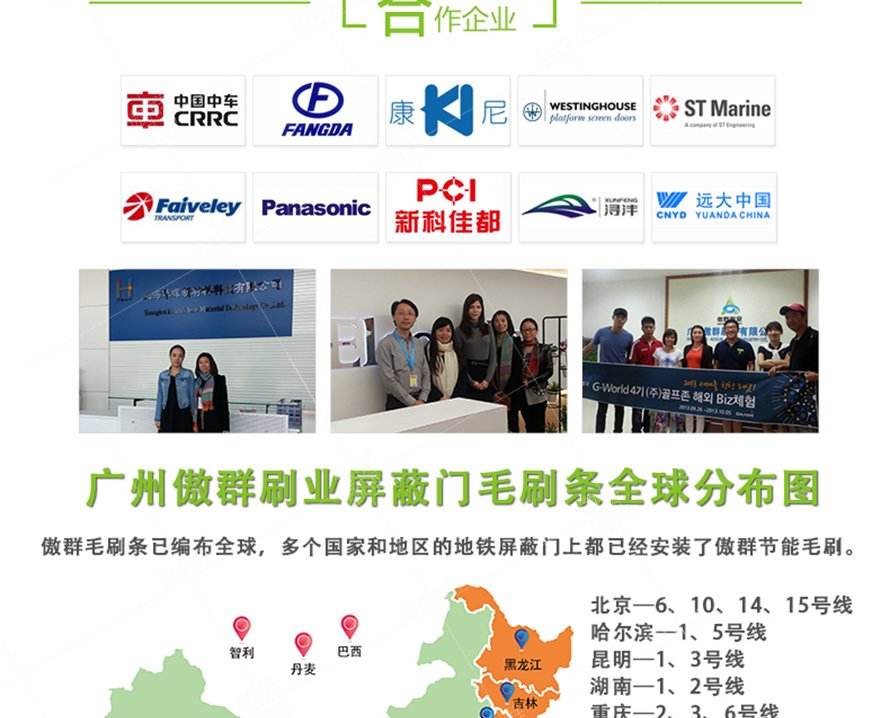 毛刷條分布 毛刷條分布