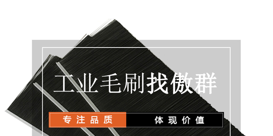 工業(yè)毛刷 工業(yè)毛刷