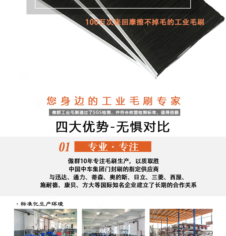 工業(yè)清潔毛刷 工業(yè)清潔毛刷