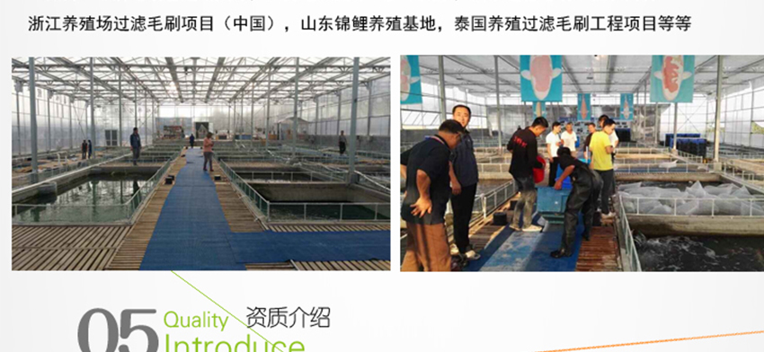 魚池過濾毛刷 魚池過濾毛刷