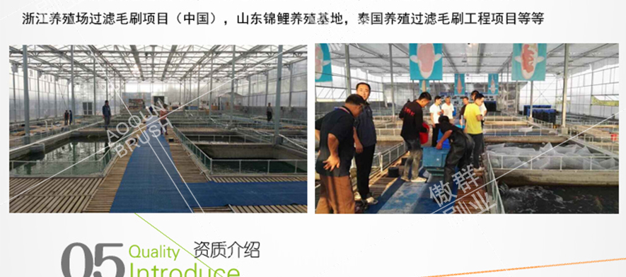 錦鯉過(guò)濾毛刷 錦鯉過(guò)濾毛刷