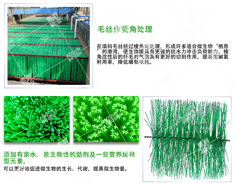 過濾器里的毛刷 過濾器里的毛刷