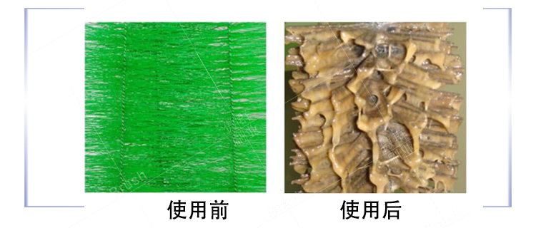 過濾毛刷 過濾毛刷