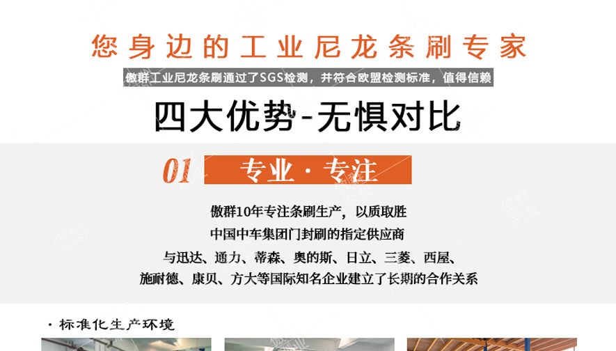 工業(yè)尼龍條刷 工業(yè)尼龍條刷