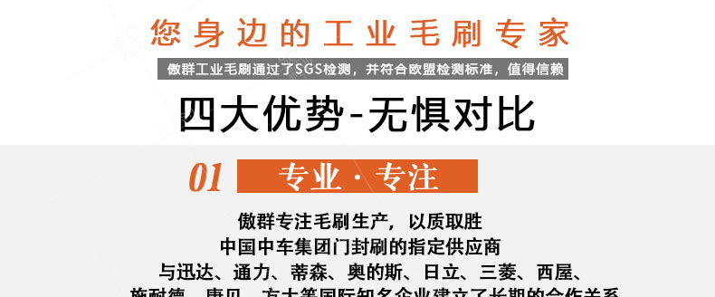 工業(yè)用毛刷 工業(yè)用毛刷