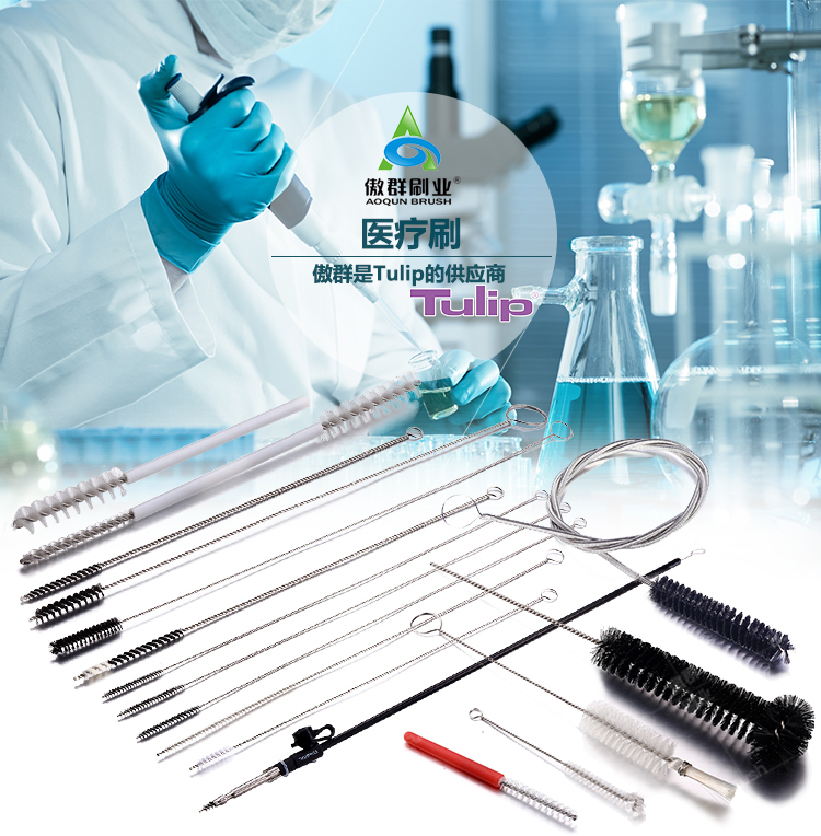內(nèi)窺鏡刷