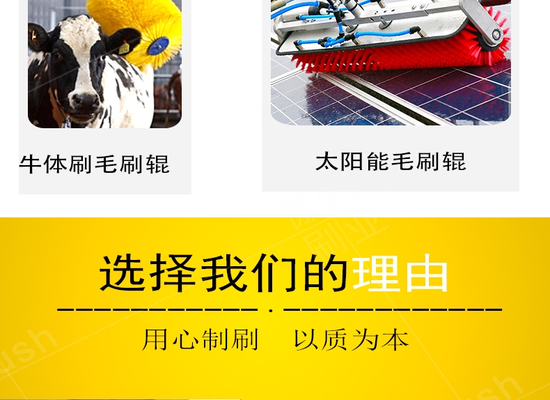 彈簧毛刷輥應(yīng)用 彈簧毛刷輥應(yīng)用