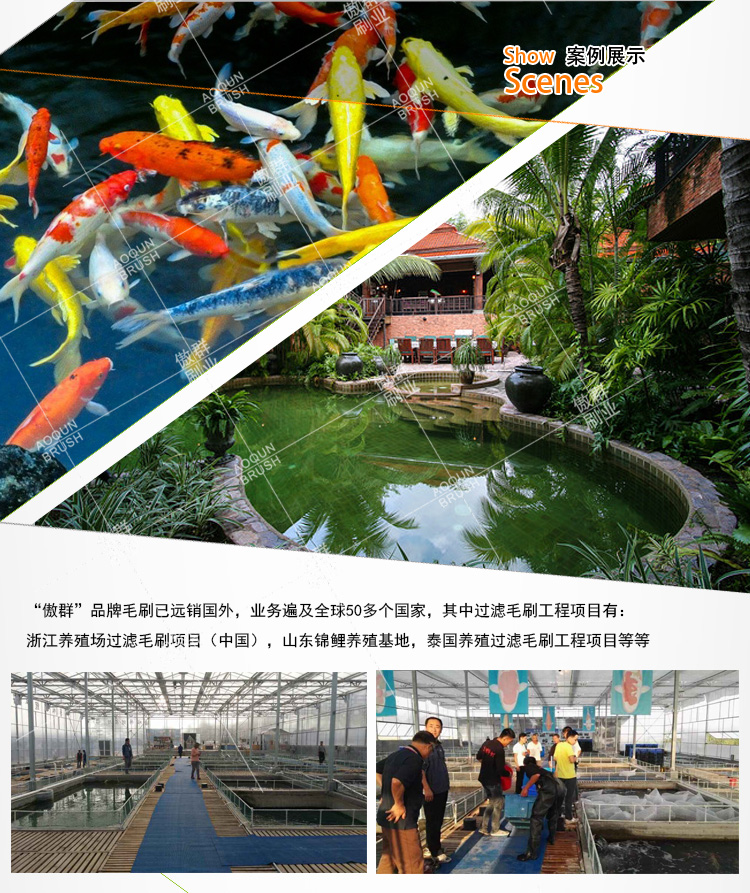 錦鯉過(guò)濾毛刷 錦鯉過(guò)濾毛刷