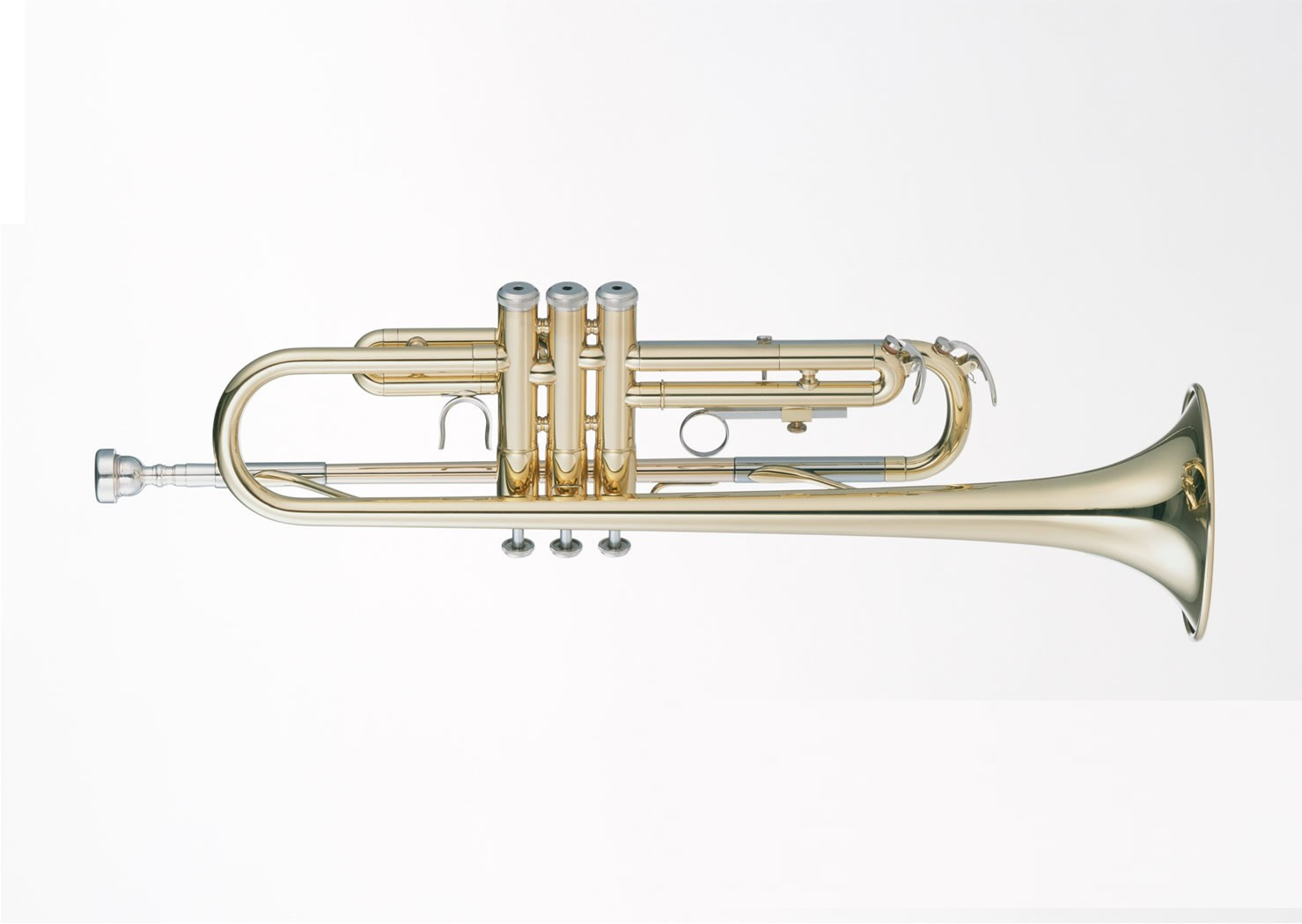 小號(hào)喉舌刷 小號(hào)喉舌刷