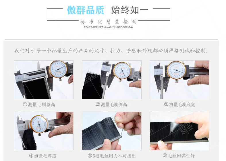 工業(yè)毛刷條 工業(yè)毛刷條