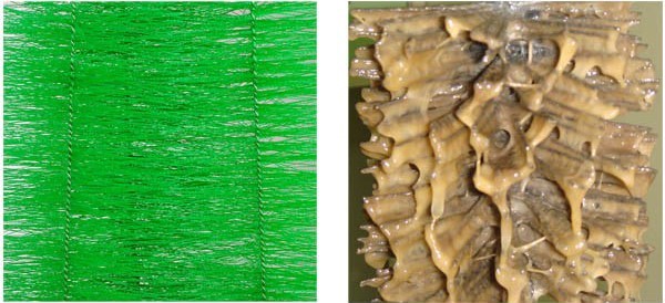 過濾毛刷輥 過濾毛刷輥