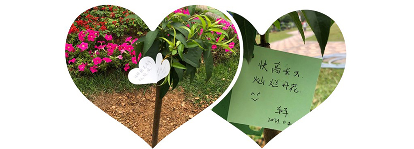 傲群刷業(yè) 傲群刷業(yè)