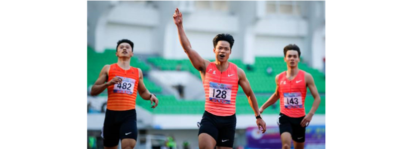 條刷廠家 條刷廠家