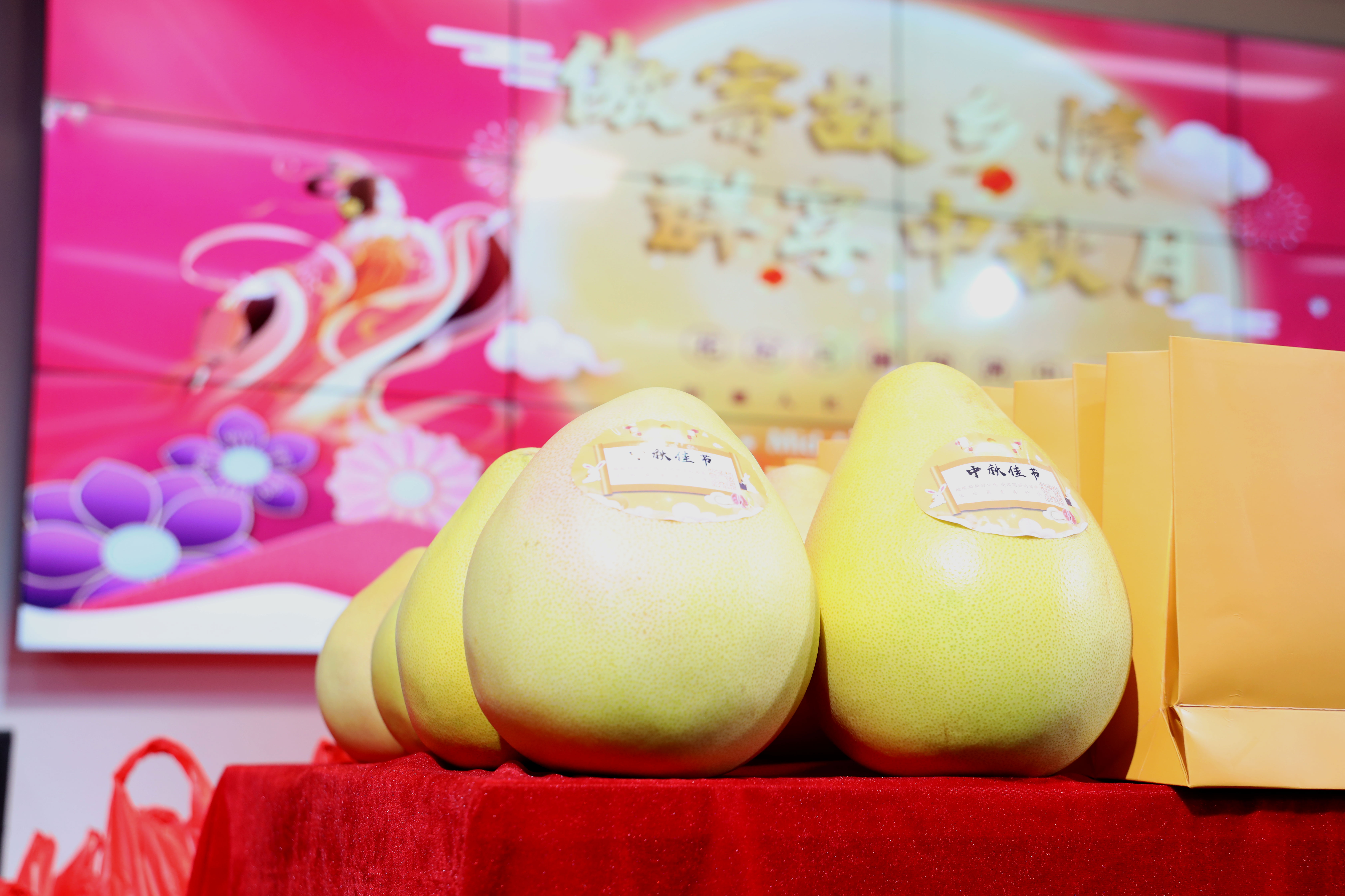 傲寄故鄉(xiāng)情，群享中秋月