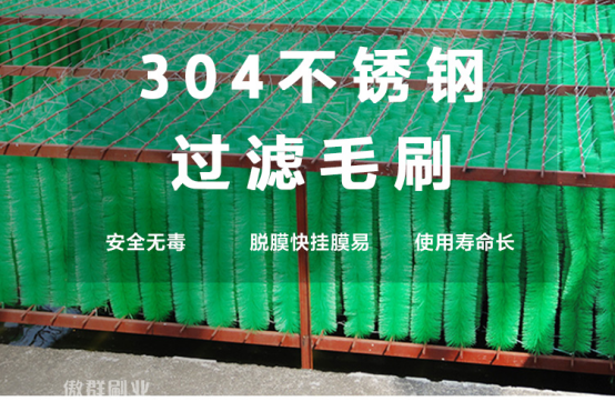 保護(hù)地球，毛刷讓世界更潔凈