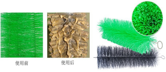 保護(hù)地球，毛刷讓世界更潔凈