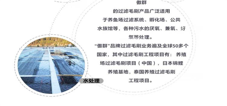 傲群尾水毛刷01 傲群尾水毛刷01