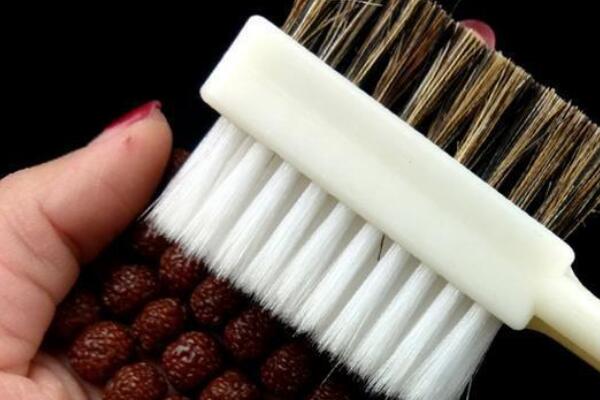 豬鬃刷和納米刷哪個好 豬鬃刷和納米刷哪個好