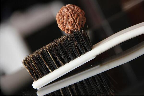 豬鬃刷和納米刷哪個好 豬鬃刷和納米刷哪個好
