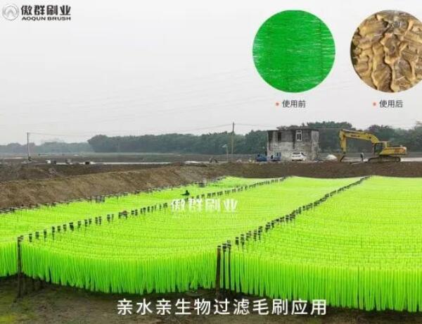 新型結(jié)構(gòu)親生物親水過濾毛刷 新型結(jié)構(gòu)親生物親水過濾毛刷