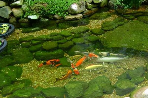 zixun19.jpg zixun19.jpg