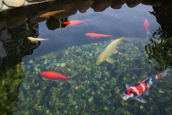 zixun29.jpg zixun29.jpg