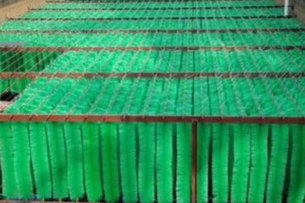 錦鯉魚池過濾毛刷 錦鯉魚池過濾毛刷