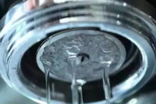 咖啡機清潔刷的清洗步驟介紹 咖啡機清潔刷的清洗步驟介紹