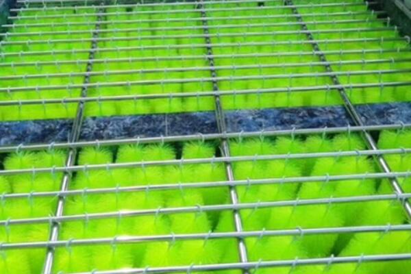 傲群魚池過(guò)濾毛刷批發(fā) 傲群魚池過(guò)濾毛刷批發(fā)