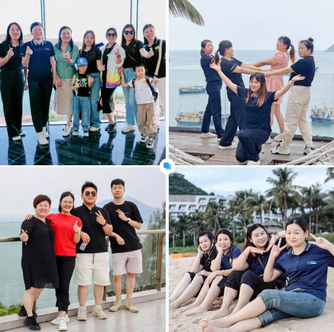 傲繪港珠澳 傲繪港珠澳