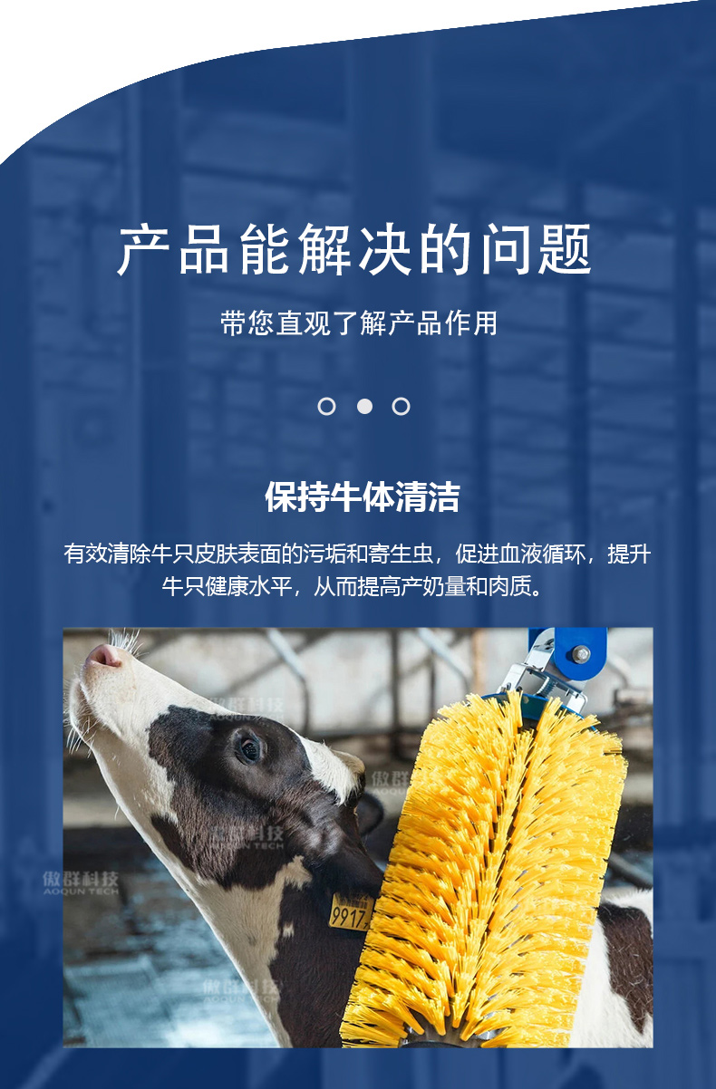 牛體清潔刷詳情頁03