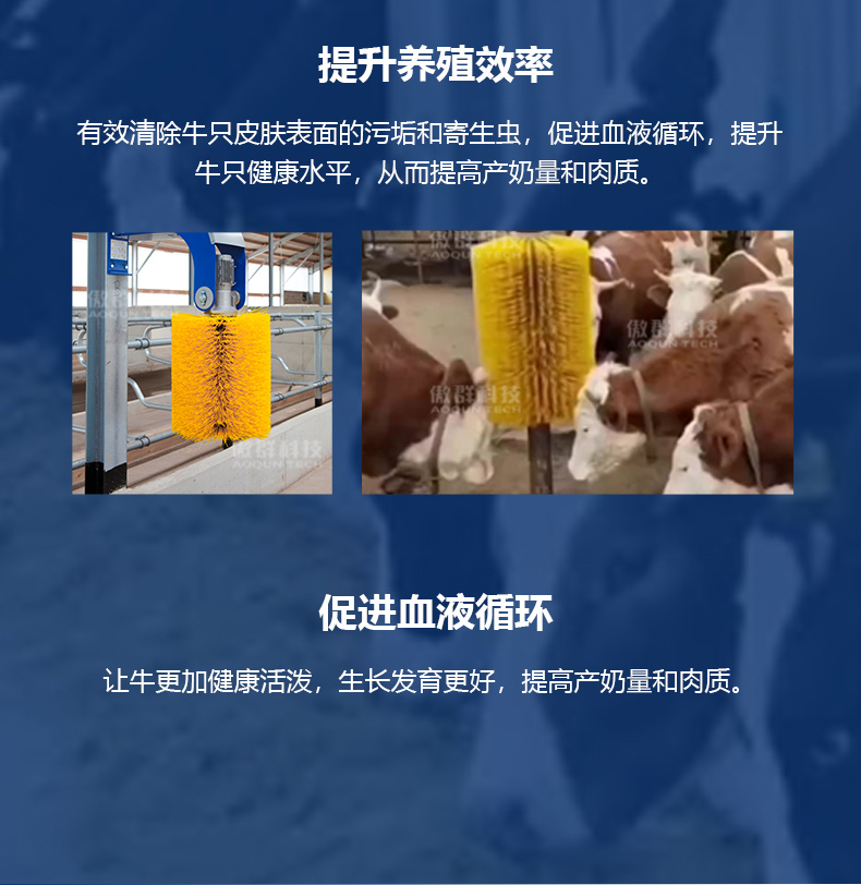 牛體清潔刷詳情頁04