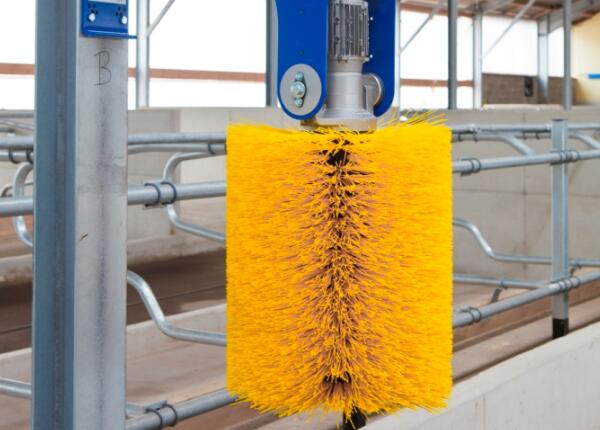 畜牧養(yǎng)殖專用奶牛蹭癢牛體毛刷 畜牧養(yǎng)殖專用奶牛蹭癢牛體毛刷