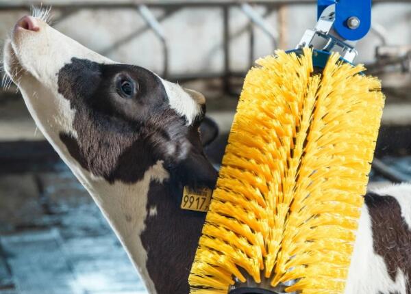 畜牧業(yè)養(yǎng)殖專用毛刷定制 畜牧業(yè)養(yǎng)殖專用毛刷定制